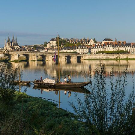 Le Wilson - Vue Imprenable Sur La Loire Et Le Chateau De Blois Zewnętrze zdjęcie
